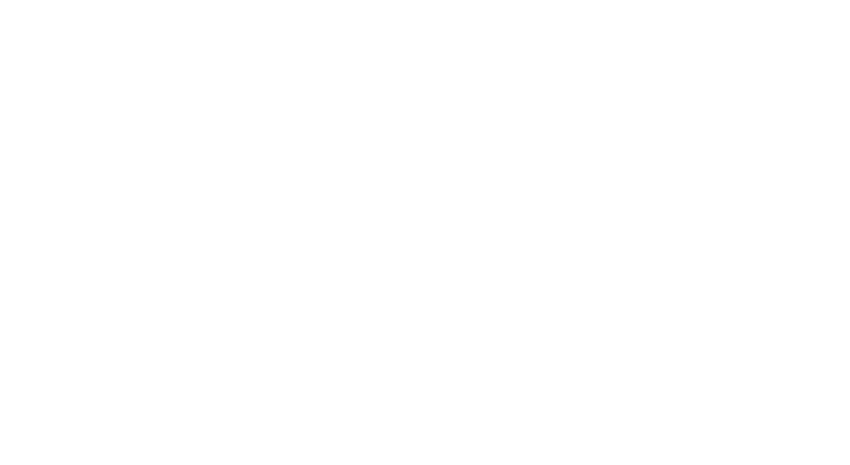 logo-client-twirla